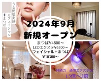 アイビー