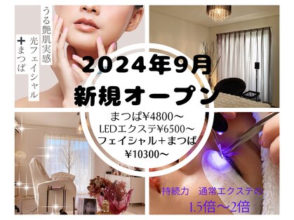 アイビーの写真