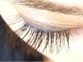 デリカトゥーラ(Delicatura)/