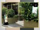 森の整体院の写真