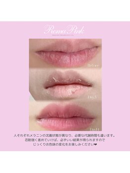 ベイビースキン(Baby skin)/ローマピンクLip過程