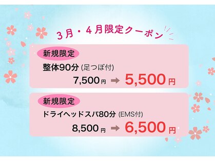 ラクダ(Rakuda)の写真