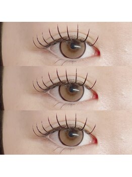 アイラッシュ ベイビーステップ(Eyelash Baby step)/バインドロック60束