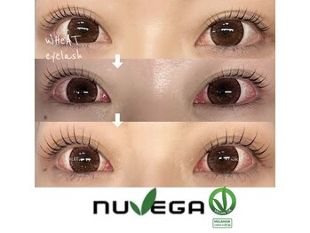 ウィート(WHeAT)/爆売れの美容液