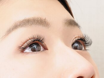 まつげエクステサロン マンハッタン 福井武生店(MANHATTAN)の写真/フラットラッシュ5370円～束タイプの3Dボリュームラッシュ6820円～バインドロック9900円～でボリュームUP！