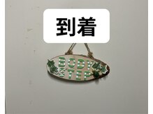 ボディステップ 調布(BODYSTEP)/調布メンズ専門脱毛BODYSTEPまで