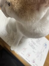 マシュマロハンド/よもぎ蒸し/冷え/むくみ改善