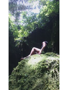 フランボヤン(flamboyant)/定期的に渡Bali