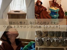 クスノキ(9sの木)
