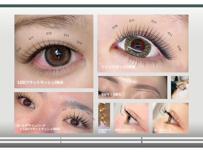 トット(totto.)の写真