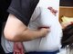 サロン デ カサレイナ(Salon de Casareyna)の写真