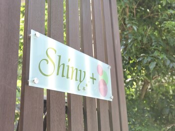インディバサロン シャイニープラス(Shiny+)/外観