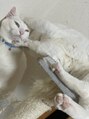 マヴィ(Mavie)&nbsp;猫好きです♪