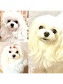 ユア バイ チッチ 下関店(Yuaa by chicchi)&nbsp;愛犬メルちゃん。いつもラブラブです♪