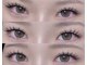 アイラッシュマルヴァ(Eye Lash Malva)の写真