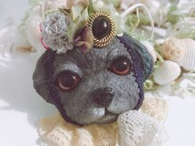 ハミングバード/