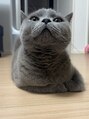 ゾウゾウ(Zow Zow) 大好き猫様… リムさん猫様の言う事が絶対でございます
