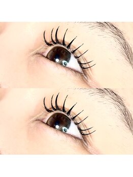 プライマリー(PRIMARY)/フラットラッシュ