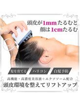 ハウオリ スパ(Hau’Oli Spa)/貧毛/白髪予防&改善スカルプケア