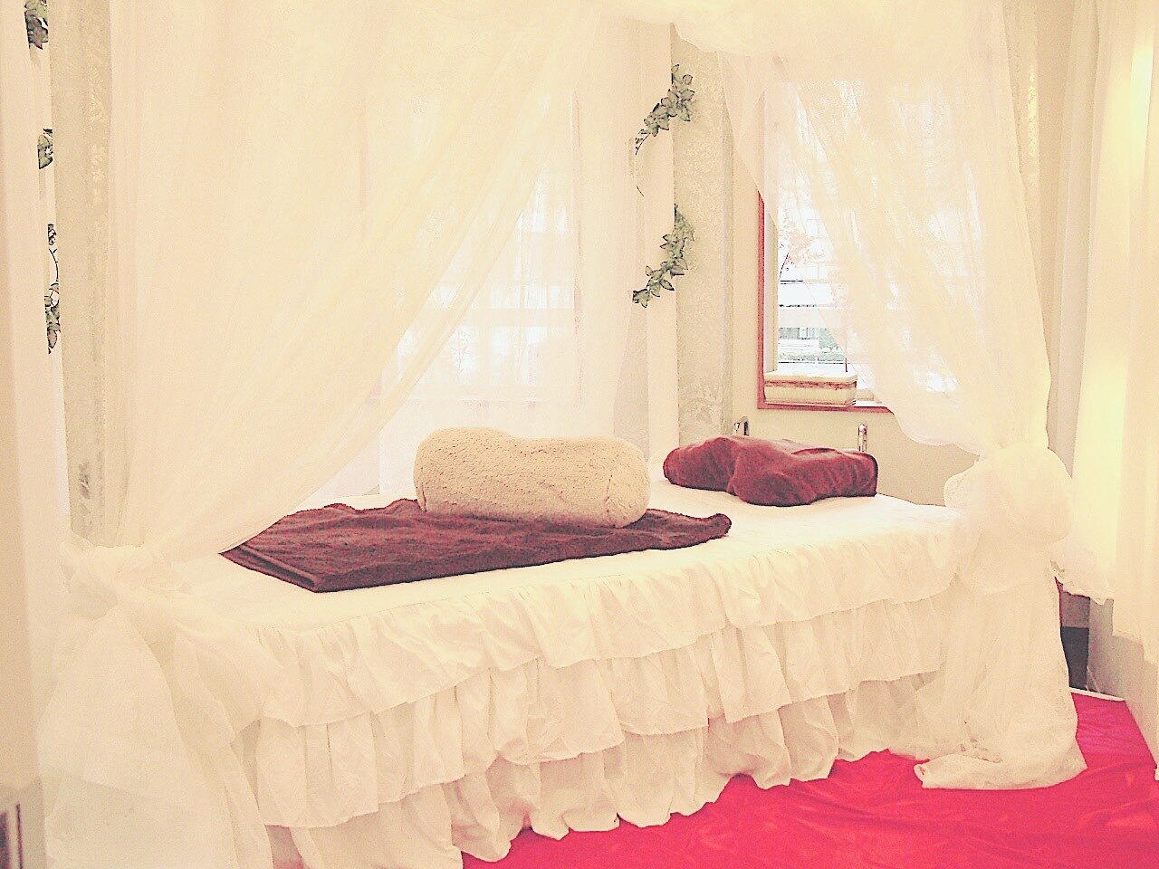 エステツン　プラズマビューティー エステツイン プラズマビューティー Plasma Beauty