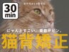 ■新規限定■パーソナル整体・猫背矯正＋立体動態波◎　30分