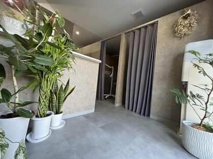 白い歯 浜寺元町店の写真