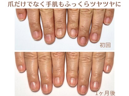 ステラルーテ(Stella lute)の写真