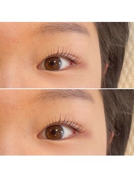 フィービー(pheebe)/ラッシュリフト(まつ毛パーマ)