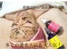 【人気１位】!ニキビケア・毛穴に　高品質ハーブピーリング×プラズマ¥9,900