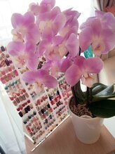 ヨシ ネイル 新宿店(Y.S NAIL) ヨシネイル スタッフ