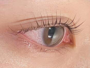 カシータ(casita)の写真/自まつ毛を活かしたまつ毛パーマや、豊富なマツエクメニューから選んでなりたい目元に♪メイクの時短にも☆