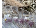 定額スタンダート　￥11000