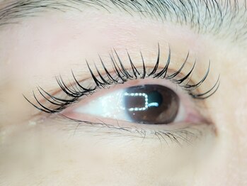 エピュレビューティースタジオ(Epure Beauty Studio)/まつ毛パーマ×LEDエクステ80本