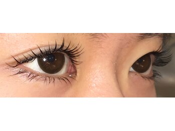 クインビー(Queen Bee)/【まつげパーマ上下】6500円