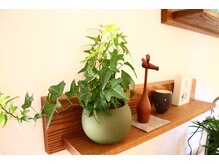 代官山コンディショニング/店内写真【マッサージ/肩こり】