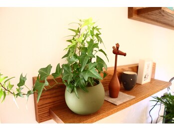 代官山コンディショニング/店内写真【マッサージ/肩こり】