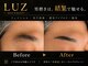 ルース(LUZ)の写真