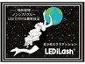 【平日】特許取得グル-☆LEDiLashフラット140本(160本¥9900)花粉症も対応