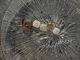 【パラジェル】8月foot monthly