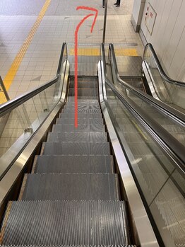 デイジー(Daisy)/降りたら右へ