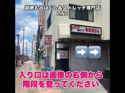 リノ(LINO)の写真