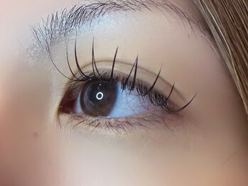 フリー#240(Free#240)/フラットラッシュ100本