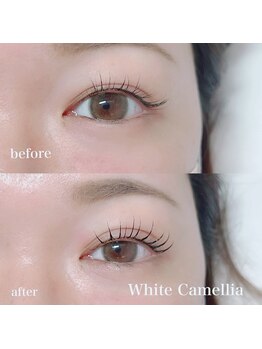 ホワイトカメリア 上本町店(White Camellia)/マツパサロン/マスカラパーマ