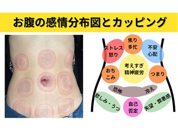 クラリス(Claris)/お腹カッピング