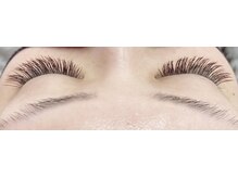 ジョリハウス(Jolie House)/DOLLラッシュ