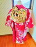 【特別な日に】着付け（振袖）　¥6000