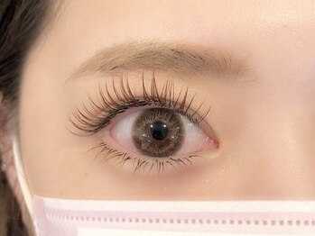 ラピス アメ村店(Lapis)/上180本/下50本