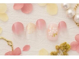 4月号 4600円　桜　お花見