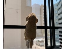 セラピア センター北店/換気も毎回行います。