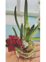 マシュマロハンド/よもぎ蒸し/冷え/むくみ改善